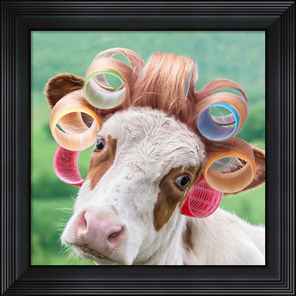 Framed Cow in Curlers Print