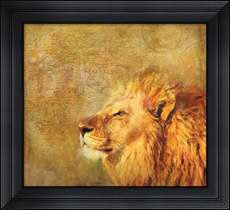 Framed Lion Print
