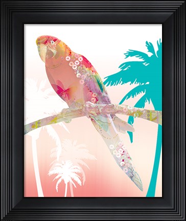 Framed Parrot Print