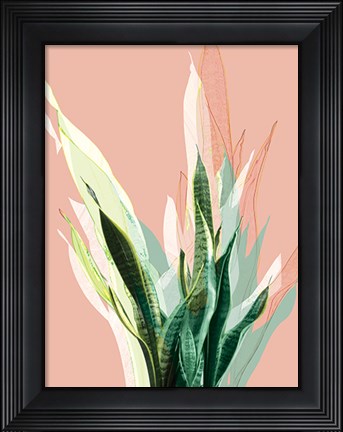 Framed Snake Plant Print