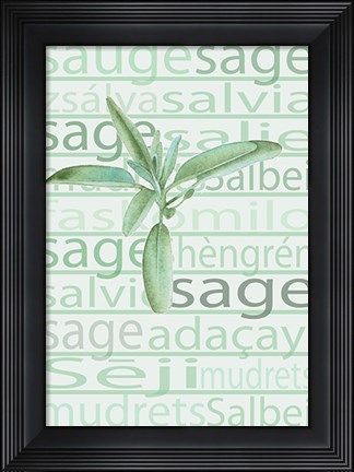 Framed Sage Print