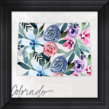 Framed Colorado Print