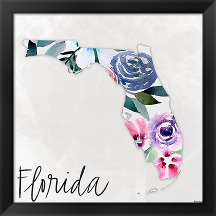 Framed Florida Print