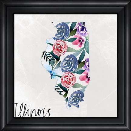 Framed Illinois Print