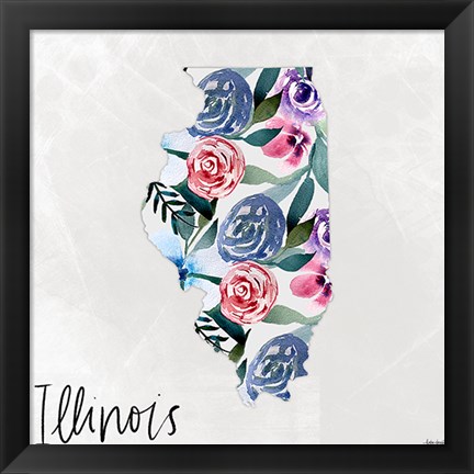 Framed Illinois Print
