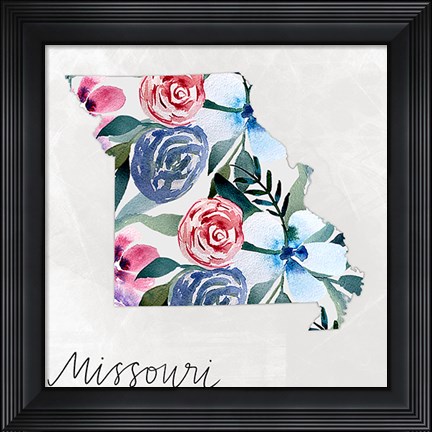 Framed Missouri Print
