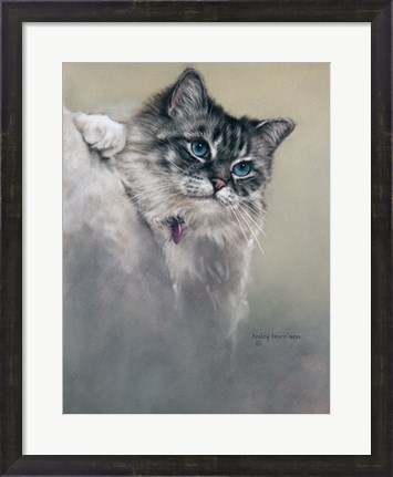 Framed Sapphires and Whiskers Print