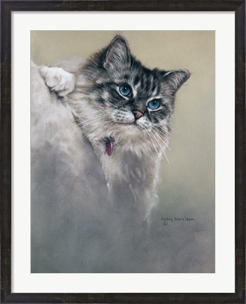 Framed Sapphires and Whiskers Print