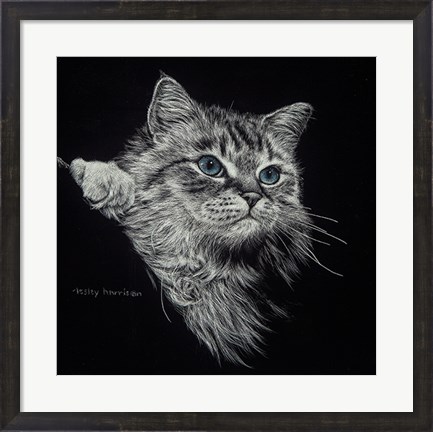 Framed Kitten II Print