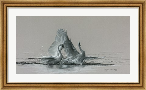 Framed Feathered Dance Print