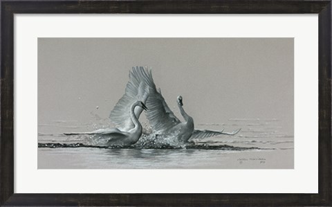Framed Feathered Dance Print