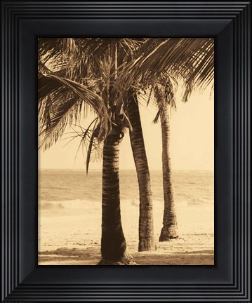 Framed Palm Beach II Print
