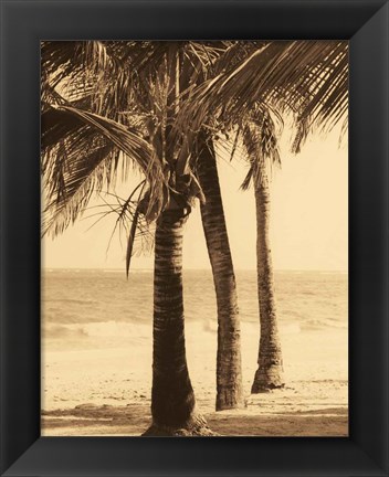 Framed Palm Beach II Print