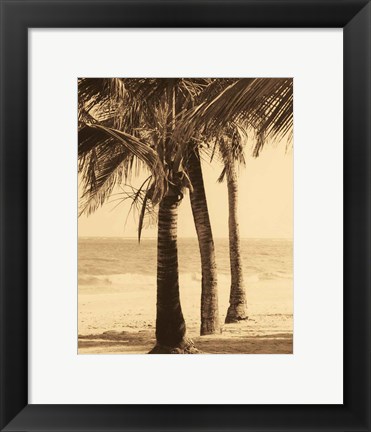 Framed Palm Beach II Print