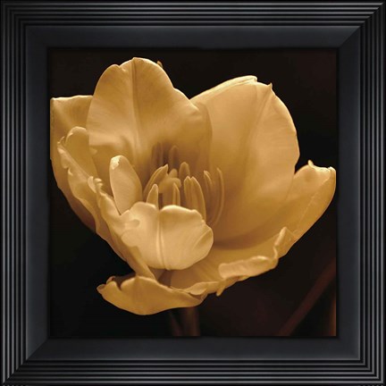 Framed Timeless Grace IV Print