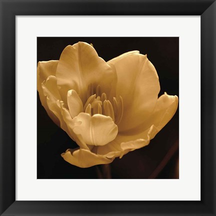 Framed Timeless Grace IV Print