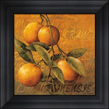 Framed Orange Branch Print