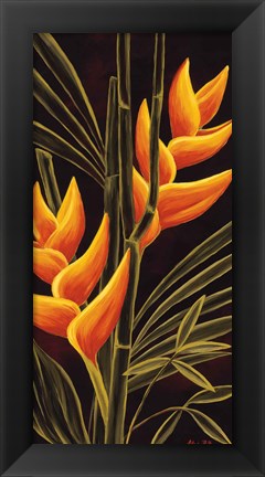 Framed Heliconia Print