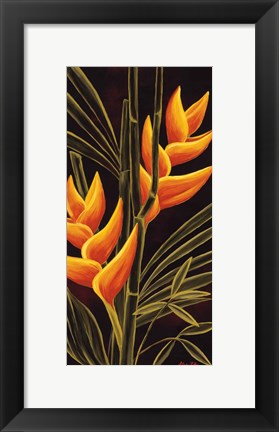 Framed Heliconia Print