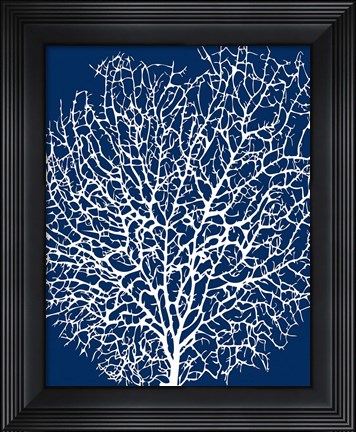 Framed Navy Coral II Print