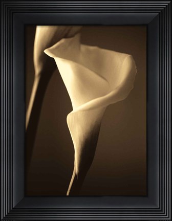 Framed Divinity II Print