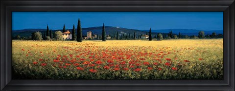 Framed Tuscan Panorama - Poppies Print
