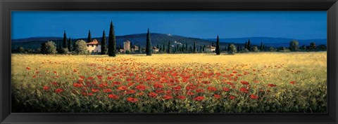 Framed Tuscan Panorama - Poppies Print