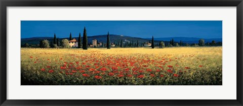 Framed Tuscan Panorama - Poppies Print