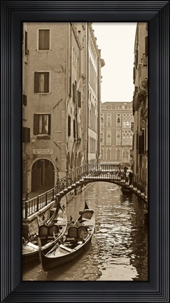 Framed Venice Reflections Print