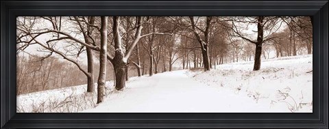 Framed First Snow I Print