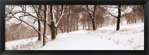 Framed First Snow I Print