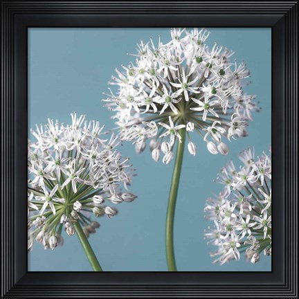 Framed Bliss I Print