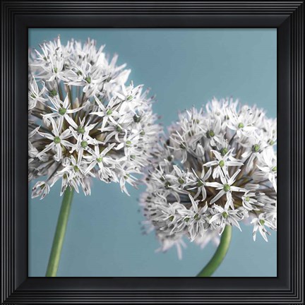 Framed Bliss II Print