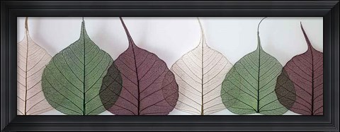 Framed Leafy Address Print