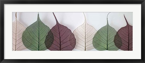 Framed Leafy Address Print