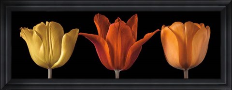 Framed Sunshine Stance Print