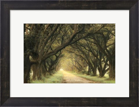 Framed Evergreen Alley Print