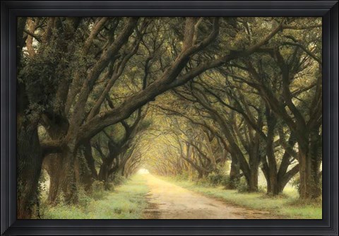 Framed Evergreen Alley Print