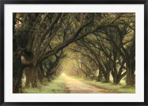 Framed Evergreen Alley Print