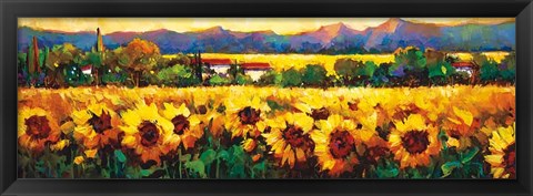 Framed Sweeping Fields of Sunflowers Print
