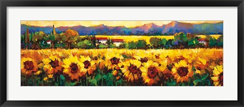 Framed Sweeping Fields of Sunflowers Print