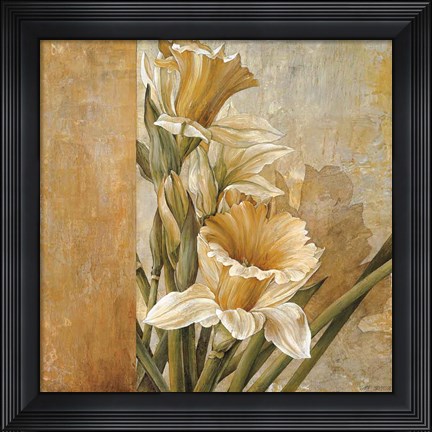 Framed Champagne Daffodils II Print