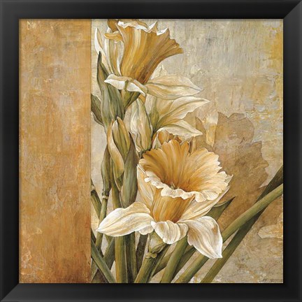 Framed Champagne Daffodils II Print