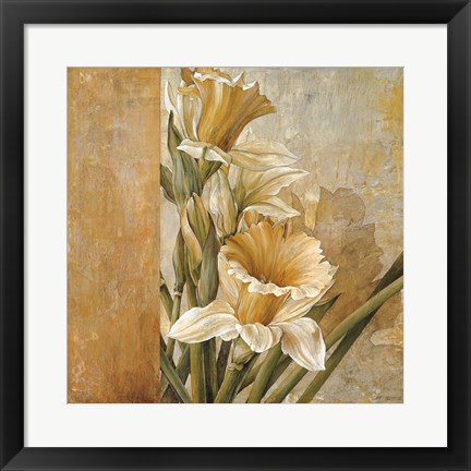 Framed Champagne Daffodils II Print