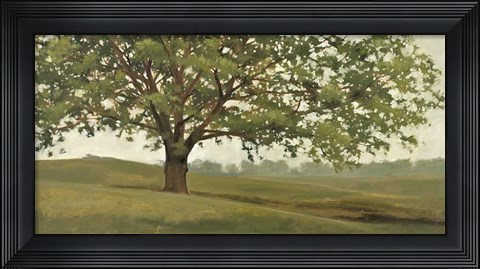 Framed Wisdom Grows Print