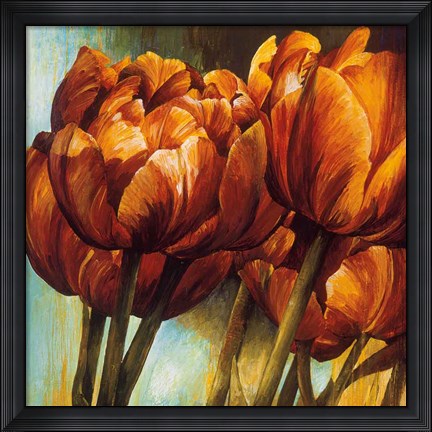 Framed Floral Radiance I Print