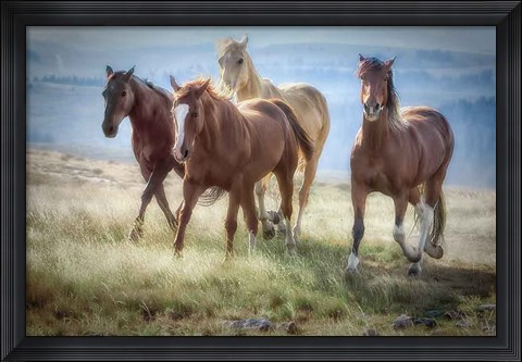 Framed Morning Stroll Print
