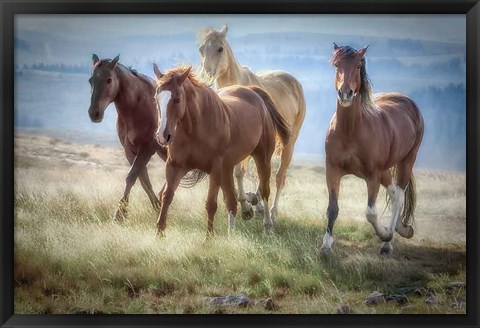 Framed Morning Stroll Print