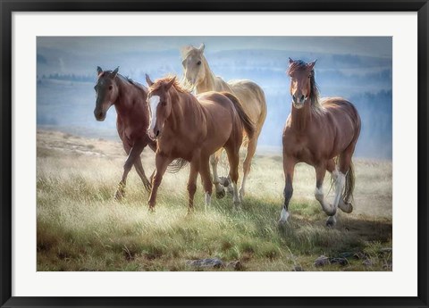 Framed Morning Stroll Print