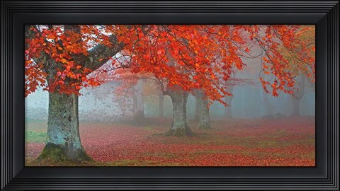 Framed Arboles Rojos Print